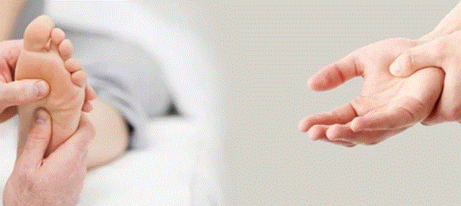 صورة للدماغ و رسم عصب