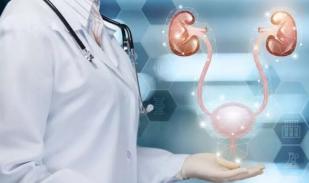 عماد مصاب بورم في المثانة 