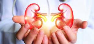 حفاظا على حياته عبد اللطيف بحاجة لزراعة كلية 