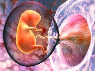 بمساعدة دعاء بولادتها يحيا أمل جديد و طفل سيرى النور. 